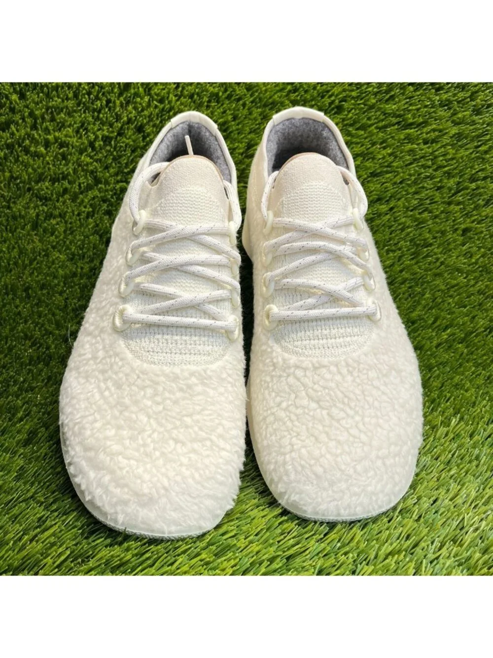 allbirds please review